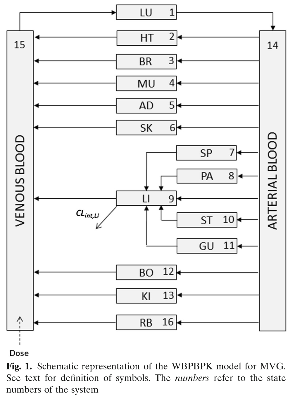 Model Schematic